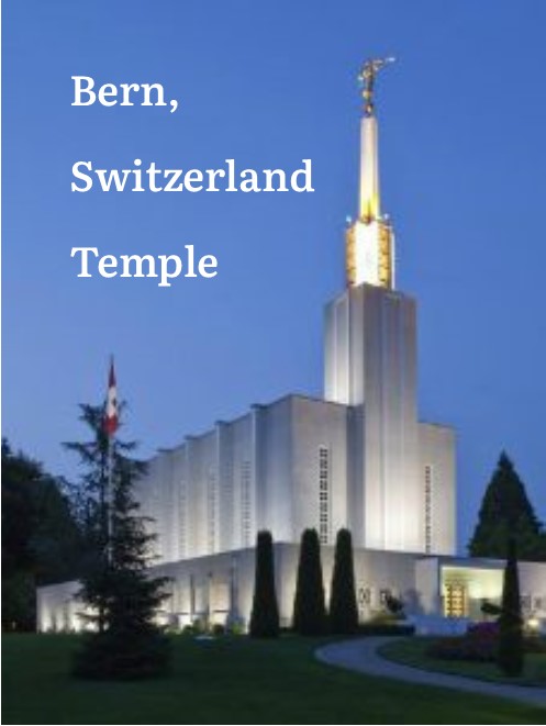 Bern Temple Button